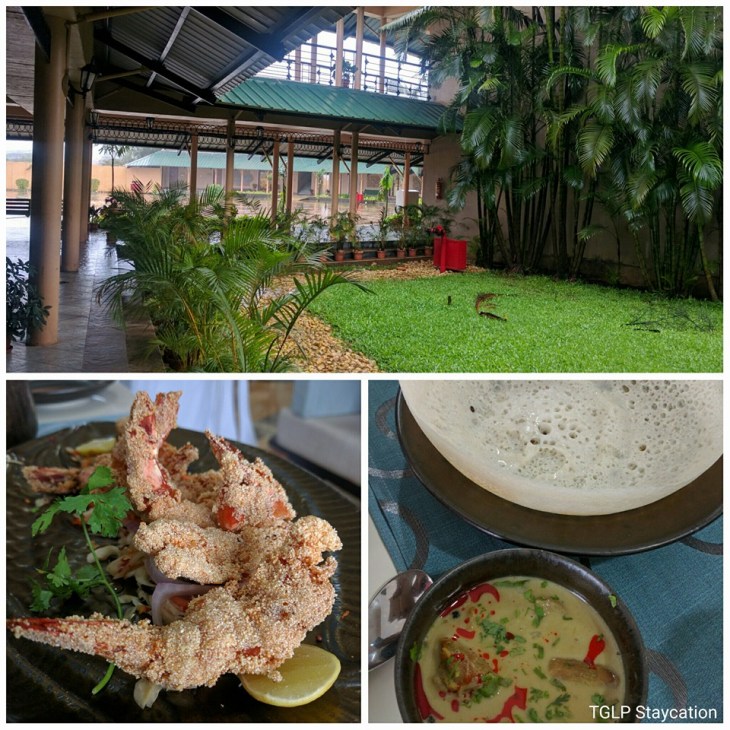 13906861_1090067164405454_7607760783047643094_n