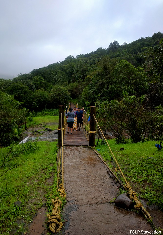 13925227_1090045597740944_8279492316585082053_n