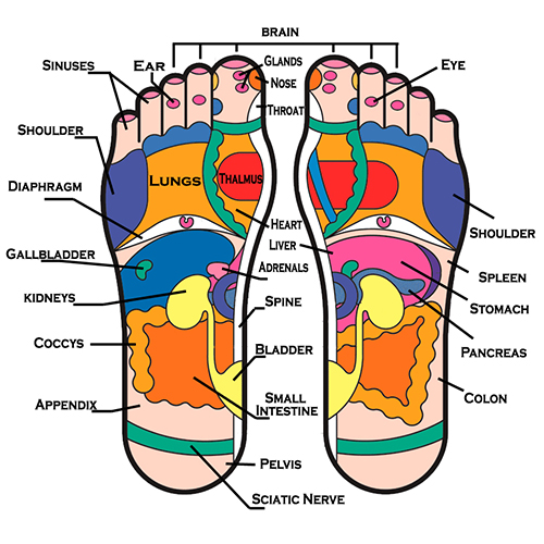 reflexology