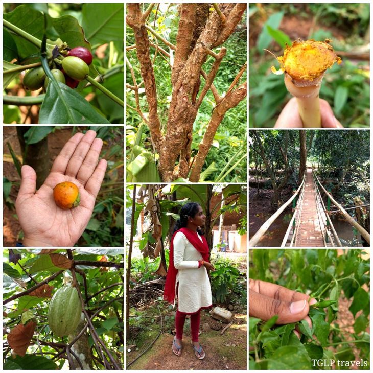 15085506_1180405378704965_4916913721035076695_n